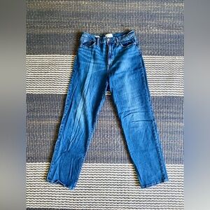 Universal Thread Vintage Straight Denim